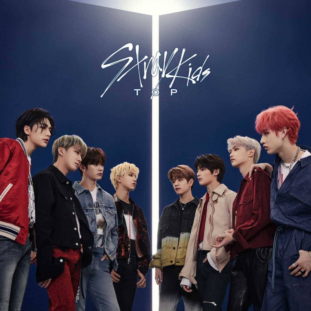 Interview de Stray Kids pour Animatetimes