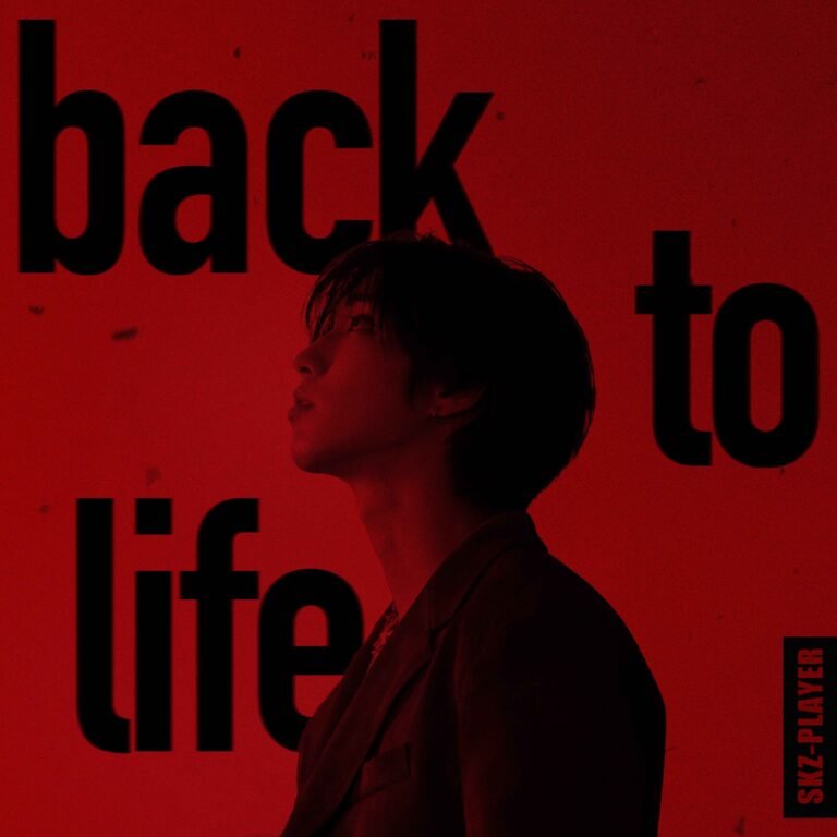 BACK TO LIFE (HAN) | SKZ-PLAYER